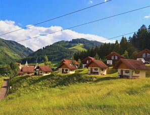 A row of traditional wooden houses with sloped roofs, set against a backdrop of green hills and a clear blue sky. - Holiday Home in Gaal im Murtal in a Beautiful Setting (Gaal)