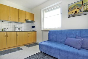 Comfort Apartment, 1 Bedroom | Private kitchen | Fridge, coffee/tea maker, electric kettle, highchair - Apartment in Schlanders With Terrace (Silandro)