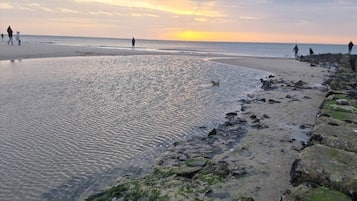 Classic Apartment, 2 Bedrooms | View from property