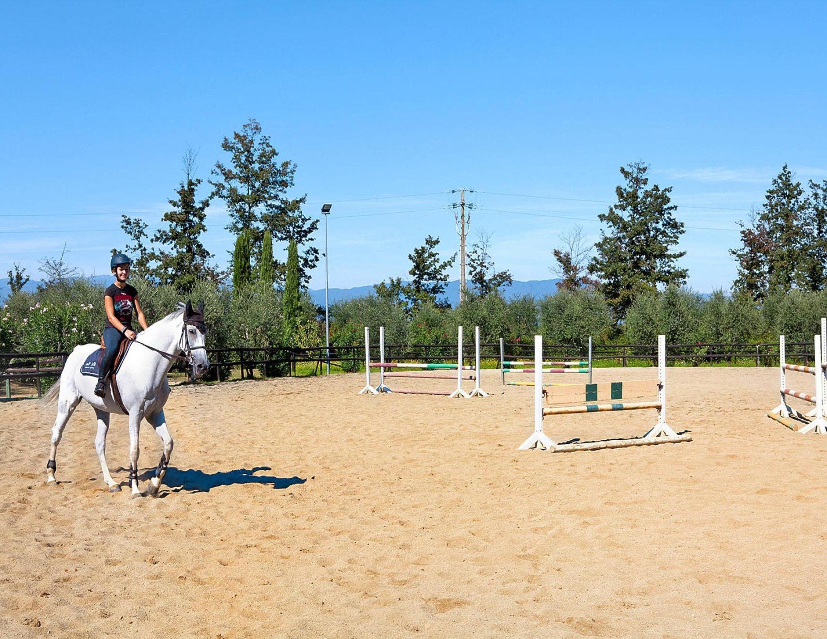 A person riding a horse in an outdoor arena with jumps and trees in the background.