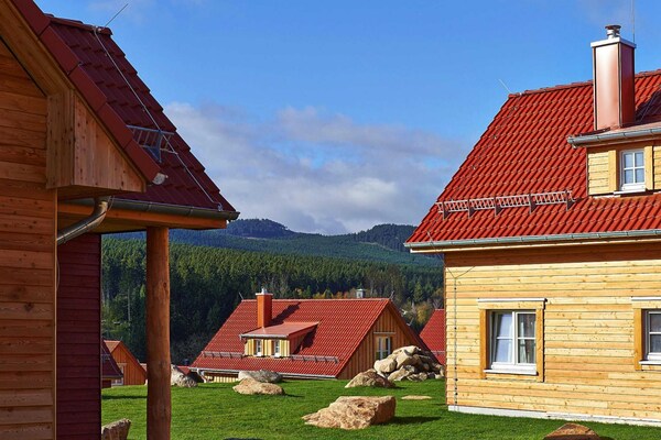 Ferienhauser Im Schierke Harzresort - Elend