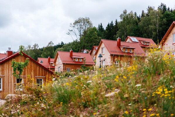 A row of wooden houses with red roofs, surrounded by greenery and wildflowers. - Holiday Homes in the Schierke Harzresort on the Brocken, Schierke (Wernigerode)
