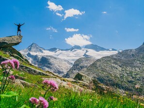 컴포트 아파트, 침실 1개 | 숙박 시설의 전망