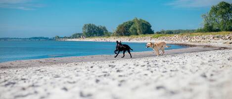 Classic House, 3 Bedrooms | View from property