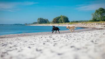 Classic House, 3 Bedrooms | View from property