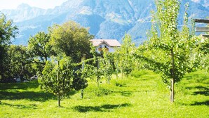 Een landelijk landschap met een huis, bomen en bergen op de achtergrond.