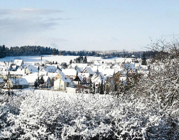 A snow-covered village with traditional houses and a clear sky. - Holiday Homes Lauterdorfle, Hayingen (Hayingen)