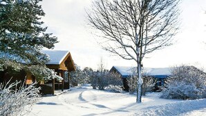 A snow-covered landscape with a wooden cabin and a clear path leading to it. - Holiday Homes Lauterdorfle, Hayingen (Hayingen)
