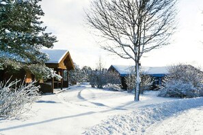 A snow-covered landscape with a wooden cabin and a clear path leading to it. - Holiday Homes Lauterdorfle, Hayingen (Hayingen)