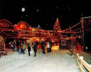 Classic-Haus, 3 Schlafzimmer | Blick von der Unterkunft