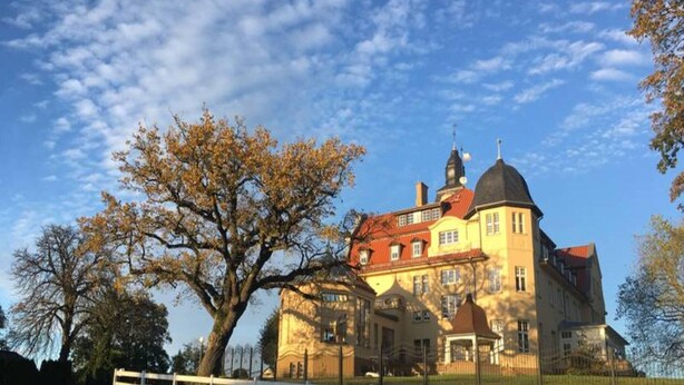 A large, historic building with a prominent tower and a large tree in the foreground. - Chalet, Wendorf (Kuhlen-Wendorf)