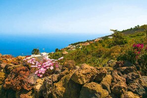Comfort Apartment, 2 Bedrooms | View from property
