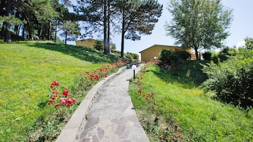 Esterni