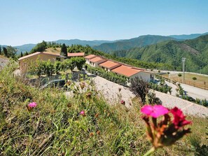 Vista da propriedade