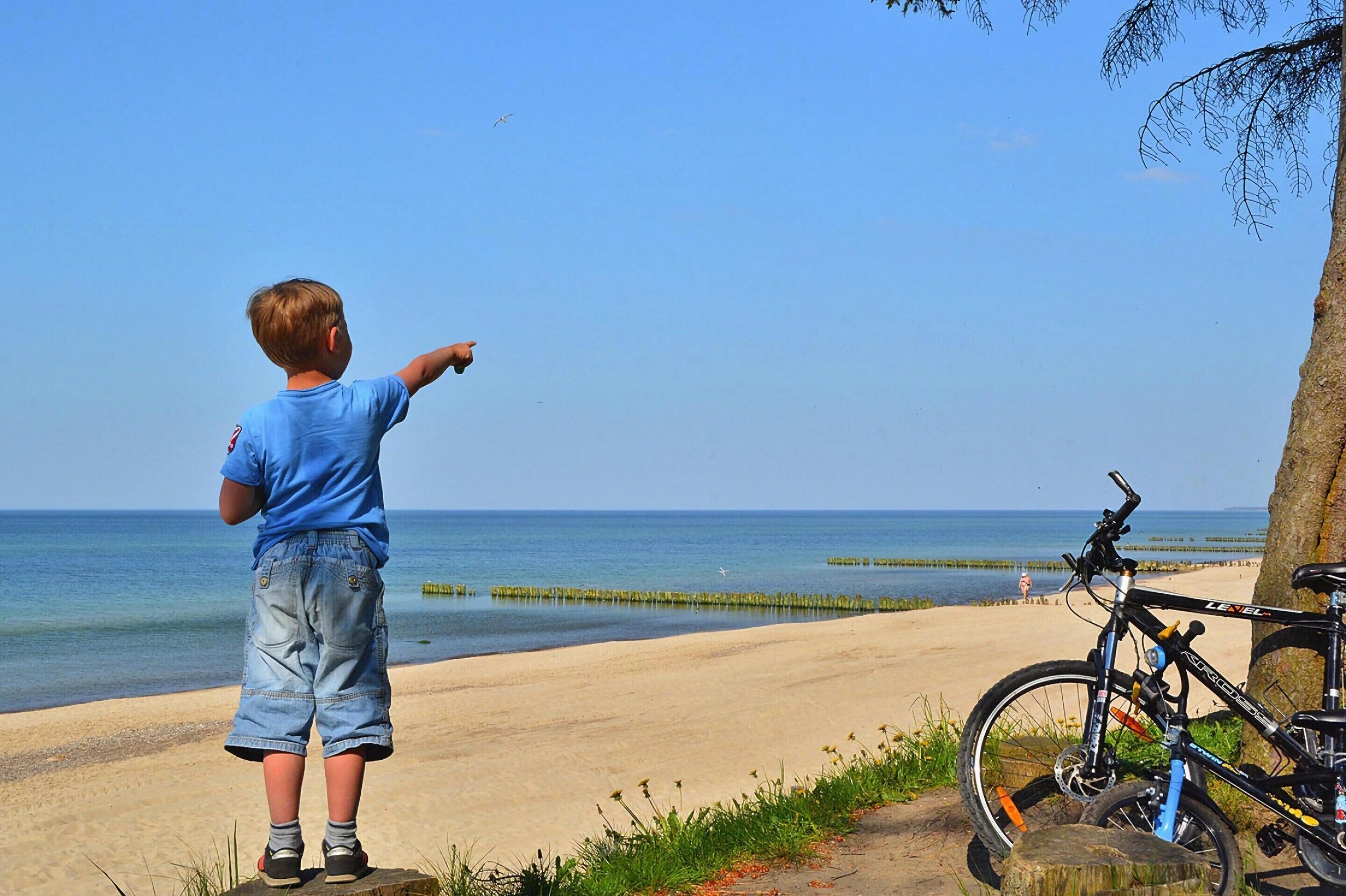 A child pointing towards the sea, a bicycle, and a tree.