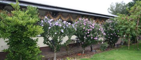 A garden with flowering trees and a building with a flat roof.