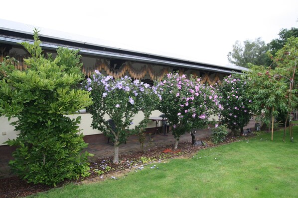 A garden with flowering trees and a building with a flat roof. - Bungalow in Lubben With a Terrace (Lübben (Spreewald))