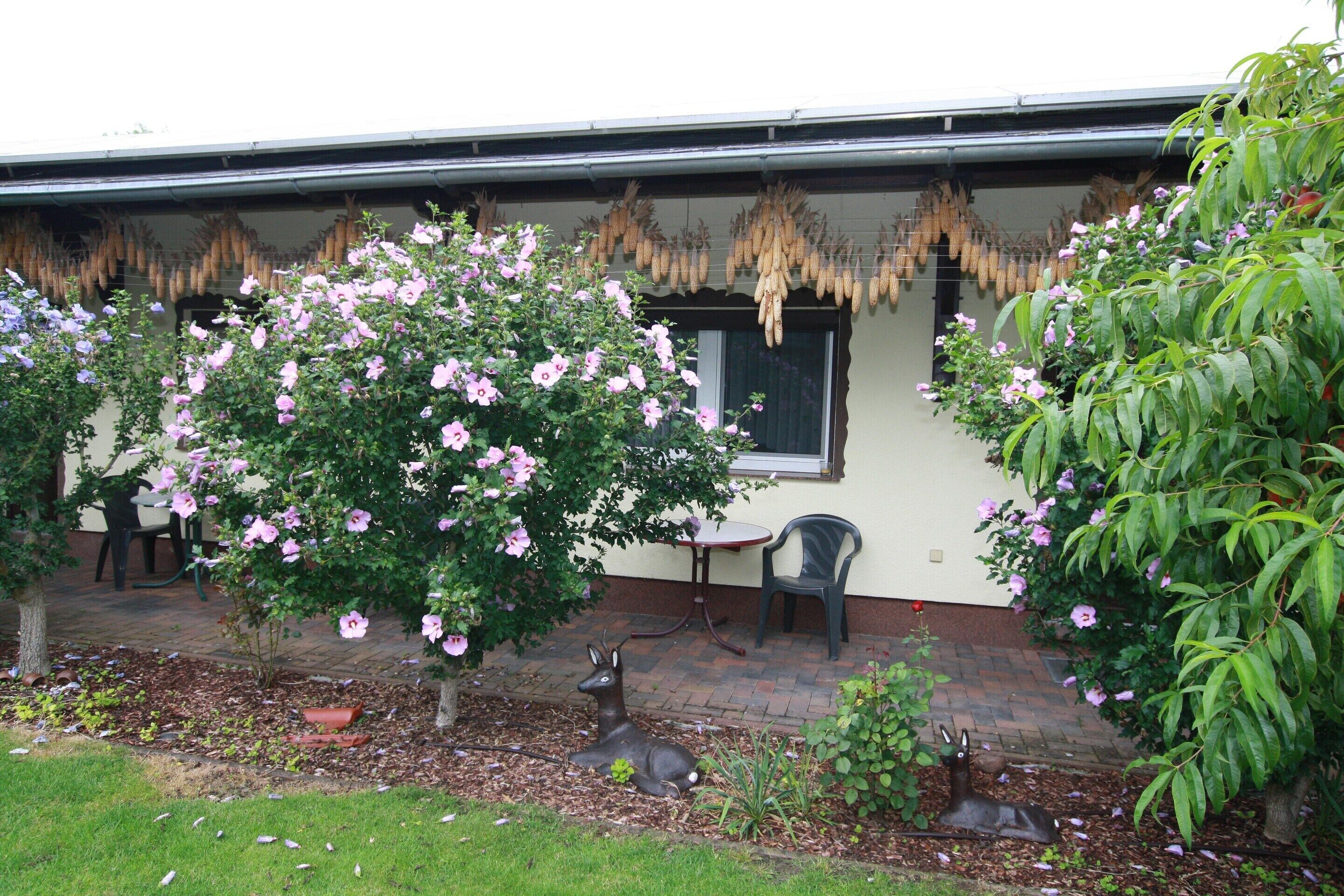 Deluxe Bungalow, 1 Bedroom | Exterior