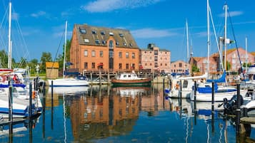 Vista desde la propiedad