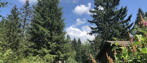 Luxury House, 3 Bedrooms | View from property