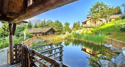 Chalet in Neukirchen