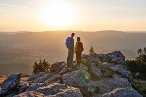 Vista desde la propiedad