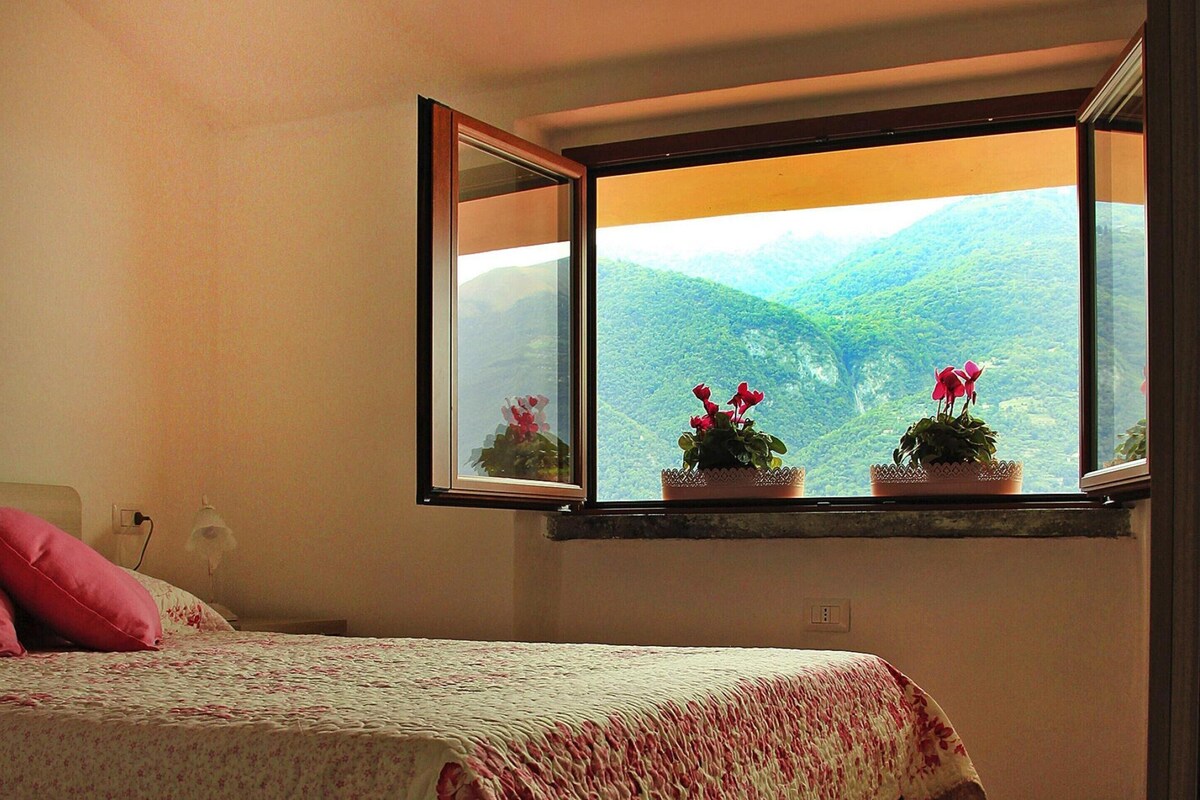 A bedroom with a bed, a window with a view of green hills, and two potted plants on the windowsill.