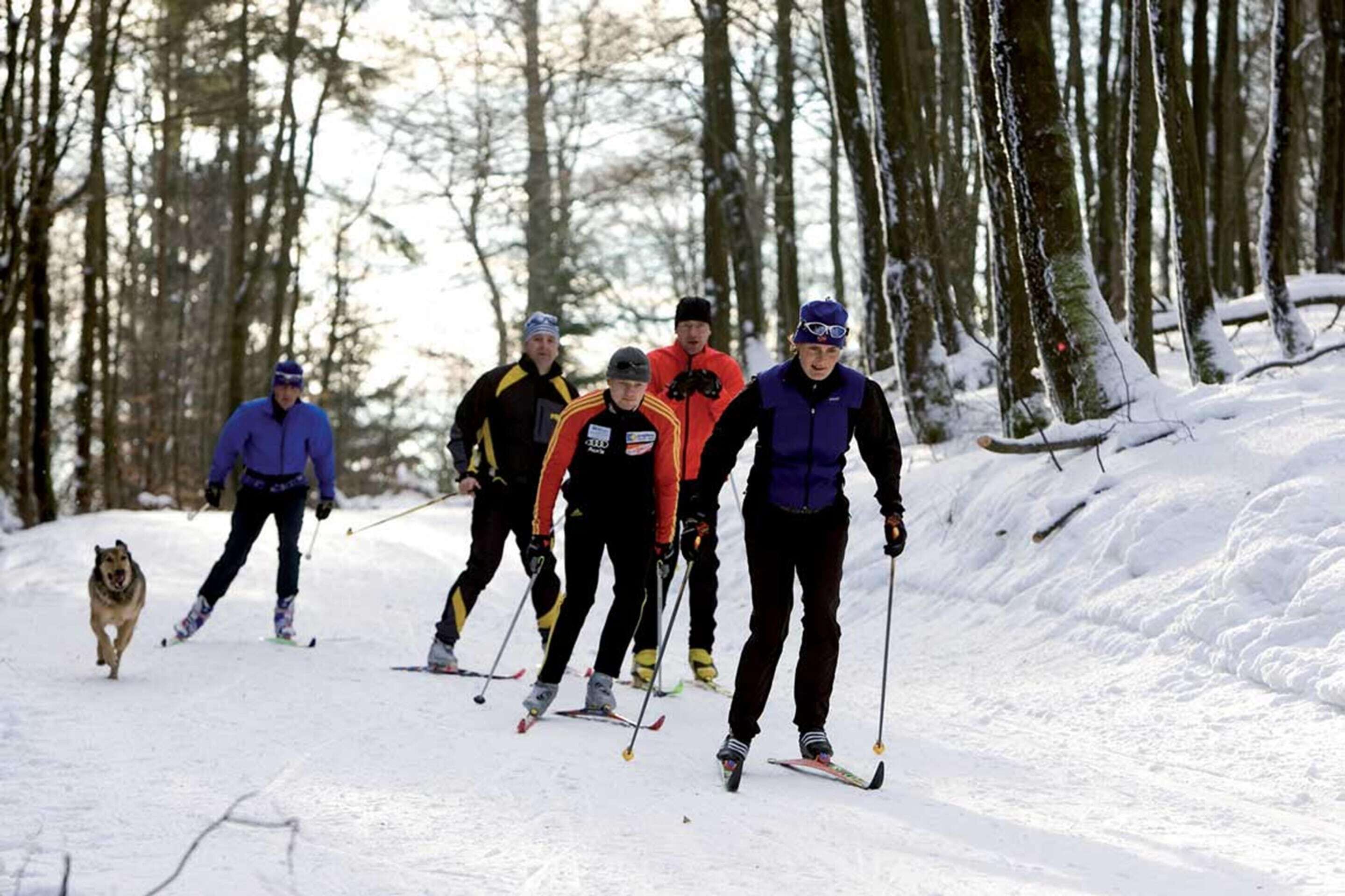 Eine Gruppe von Skifahrern in einem verschneiten Wald.