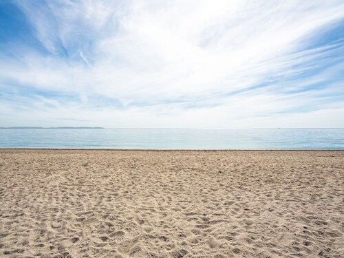 Beautiful and Cosy Apartment in a Wooded and Mostly Quite Rustic Ambience