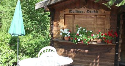 Modern Chalet in Saas-balen With Garden