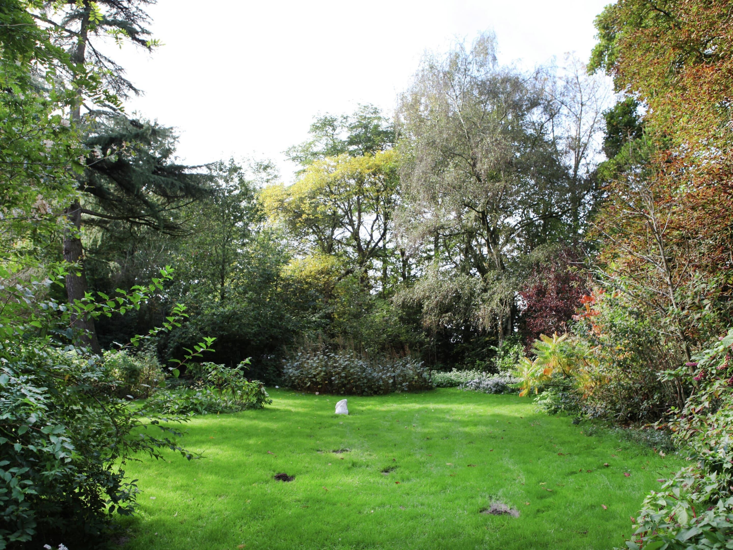 A lush garden with a variety of trees and shrubs, a well-maintained lawn, and a small white object in the center.