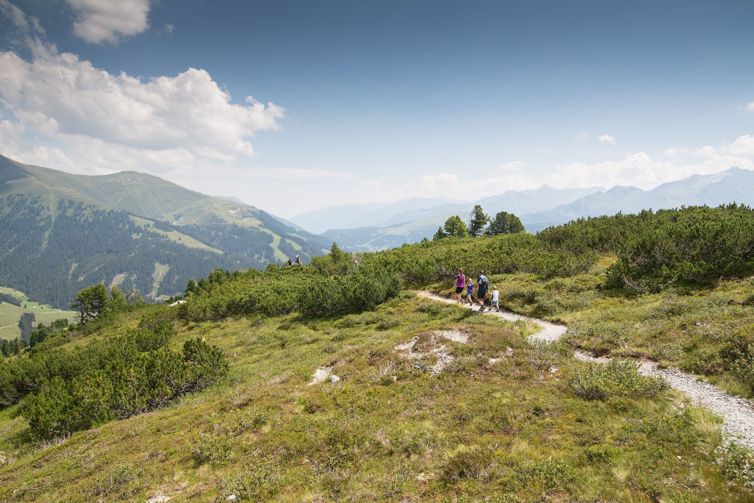 Wanderweg in einer gebirgigen Landschaft mit üppiger Vegetation und fernen Berggipfeln.