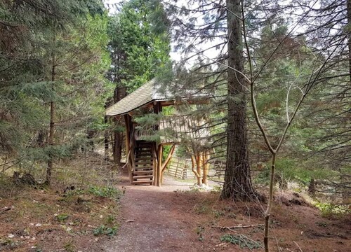 Charming Holiday Residence in the Harz With Wonderful Excursion Opportunities