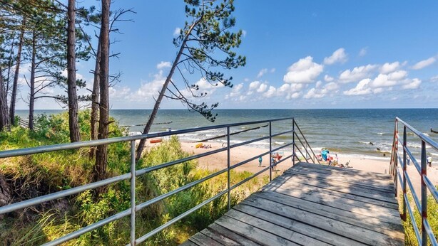 A wooden boardwalk leading to a beach with a metal railing, surrounded by pine trees. - Chalet, Wendorf (Kuhlen-Wendorf)