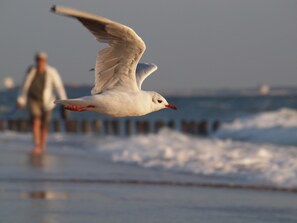 View from property - Elegant Apartment in Koudekerke With Gas Fireplace (Koudekerke)