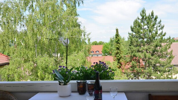 A balcony with a table set for two, a bottle of wine, and two glasses. There are potted plants and a view of a red-roofed building in the background. - Modern Apartment in a Listed Villa With Beautiful View From Balcony (Quedlinburg)