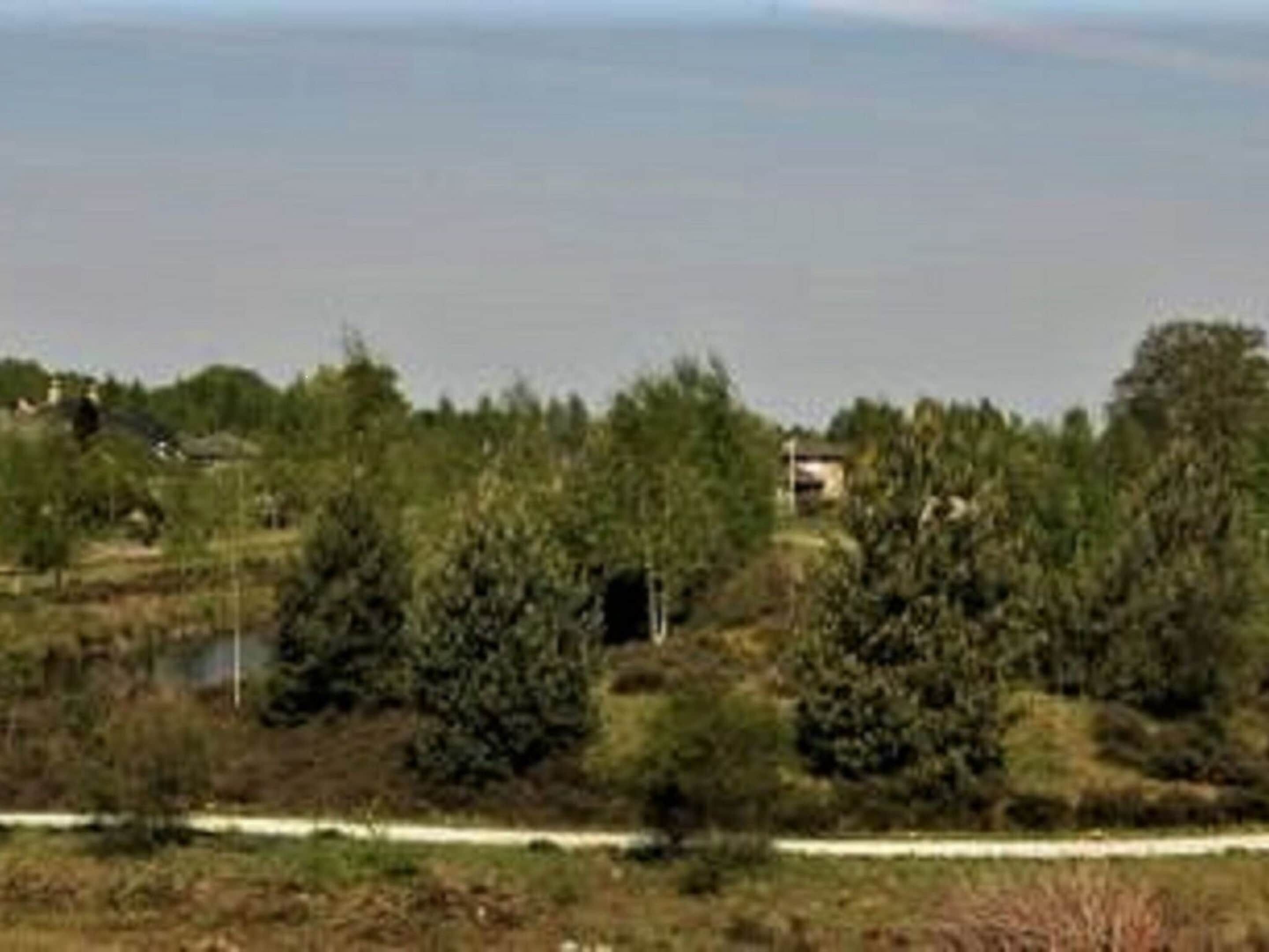 A coastal landscape with a road, greenery, and a body of water.