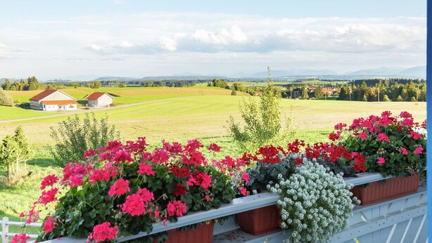 Ein Balkon mit Blumenkästen, die rote und weiße Blumen enthalten, mit Blick auf eine ländliche Landschaft mit Häusern und Feldern.