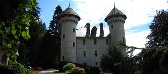 수영장이 있는 개조된 성 아파트먼트