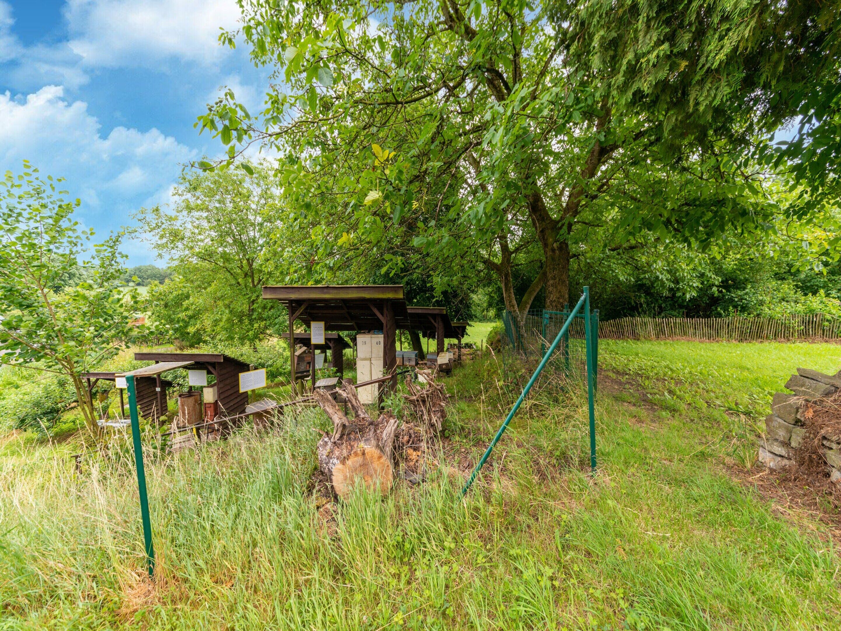 Une structure rustique en bois, dotée d’un banc, entourée d’une végétation luxuriante et d’un mur de pierre.