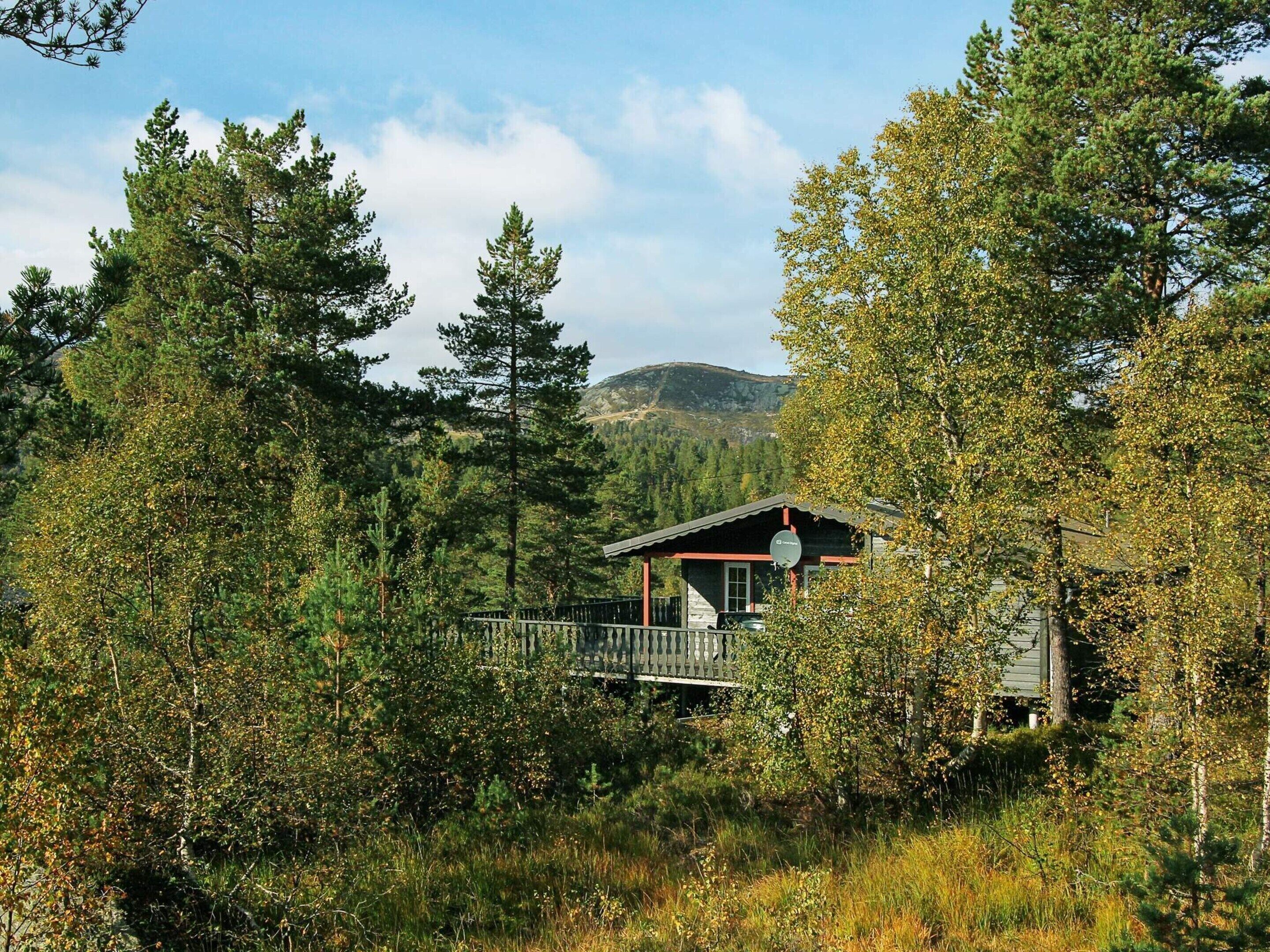A cabin surrounded by dense forest with a view of a mountain in the background.