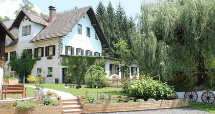 Large Modern Holiday Home in Hermagor-pressegger See/carinthia With Pool