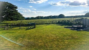 Viñedo con hileras de vides, un campo cubierto de césped y una mesa con sillas.