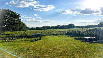 Apartemen Klasik, 3 kamar tidur | Pemandangan dari properti