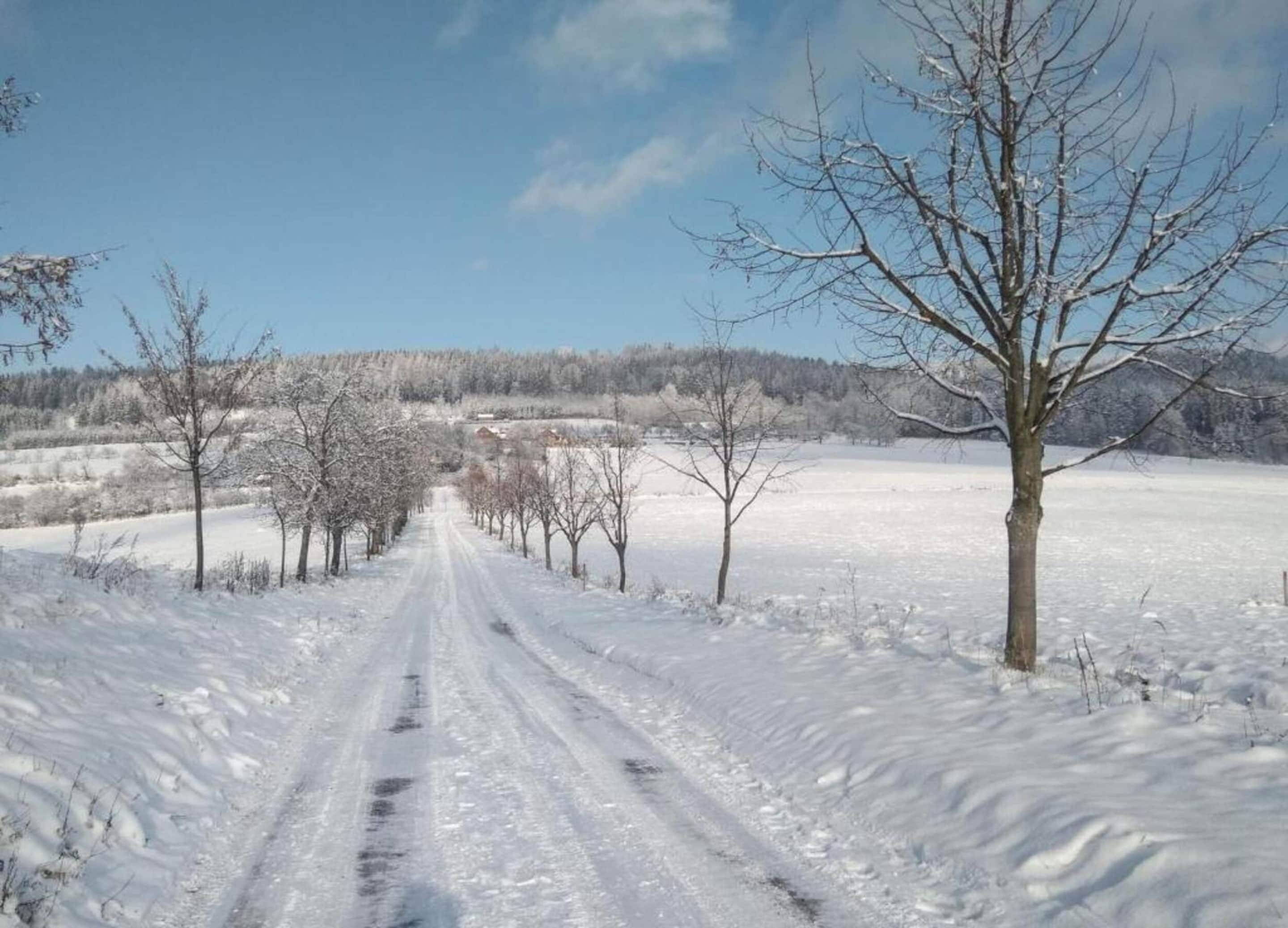 A snow-covered rural road flanked by leafless trees.