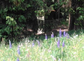 Comfort Apartment, 3 Bedrooms | View from property