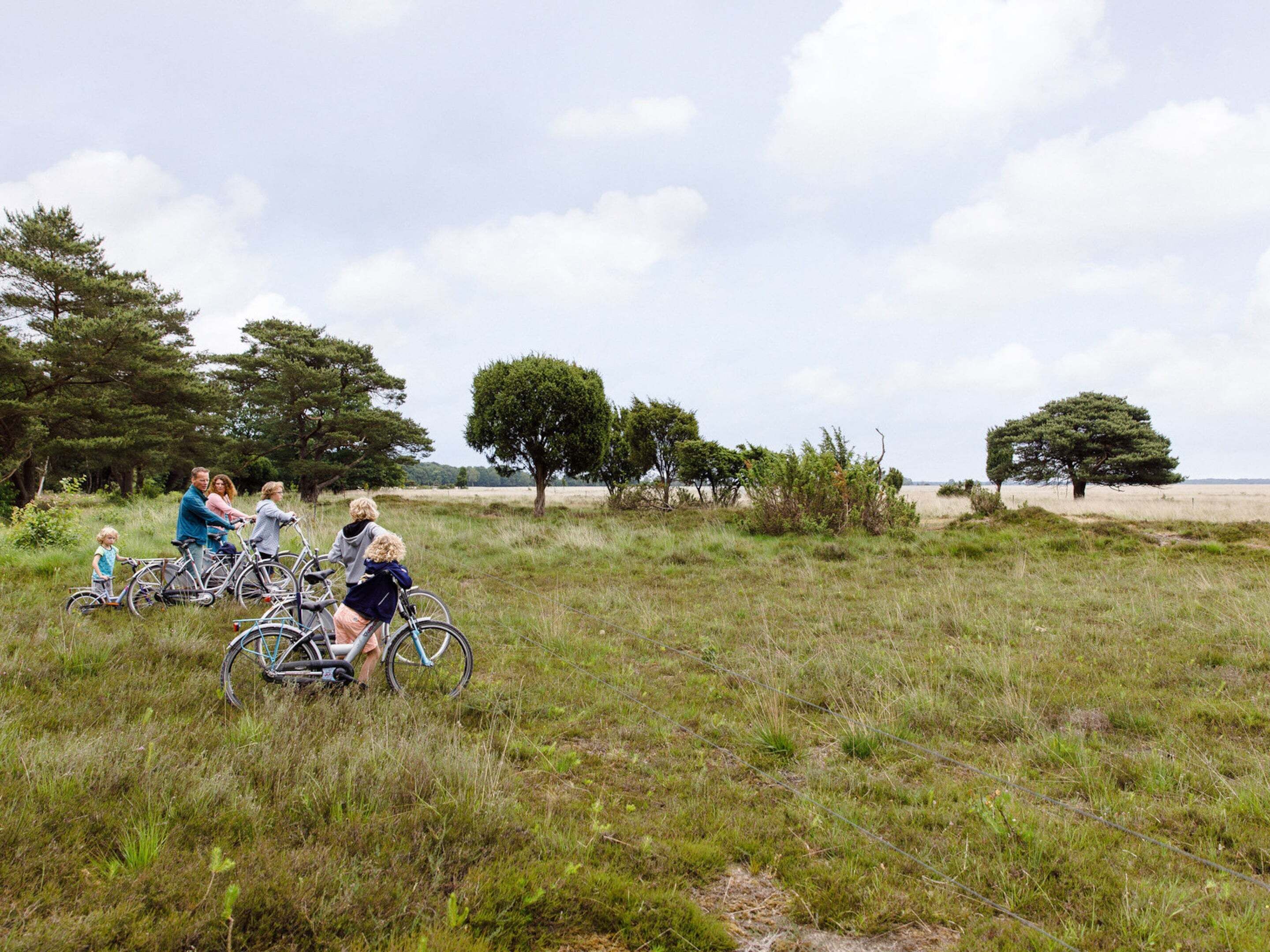 Een groep mensen op fietsen in een grasveld met bomen en een heldere lucht.