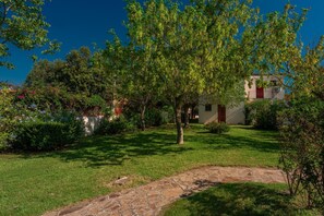 A stone pathway leading to a building with a red door, surrounded by lush greenery and trees. - Holiday Resort, Budoni (Budoni)