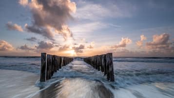 Vista desde la propiedad