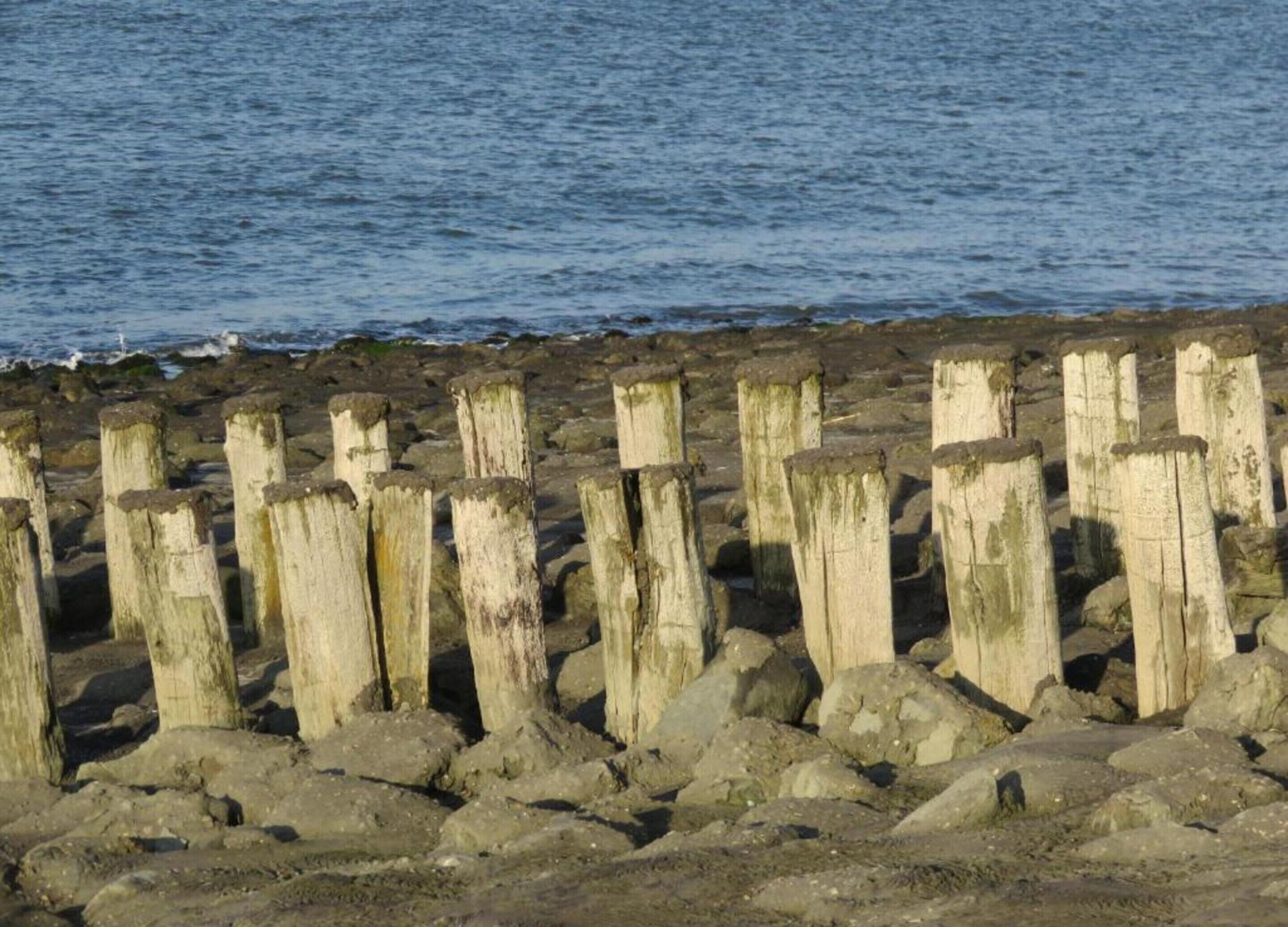 A rocky shoreline with wooden posts.